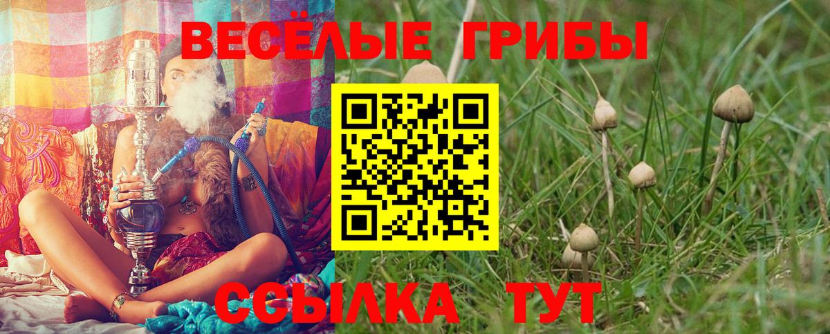 Псилоцибиновые грибы Psilocybine cubensis Кулебаки